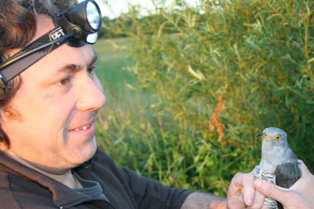 Dr Chris Hewson of the British Trust for Ornithology with Peckham after his tagging. Photo: BTO.