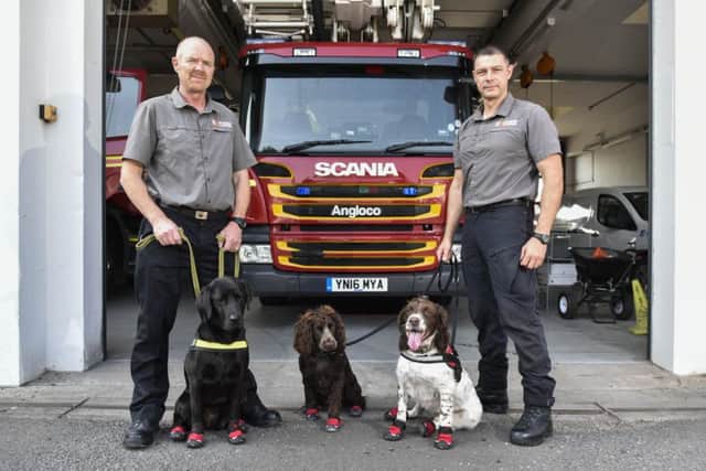 Mike Shooter and Jon Willingham have set up non-profit company, K9FI, which provides hydro dogs to the fire service and police. Picture: Ross Parry Agency