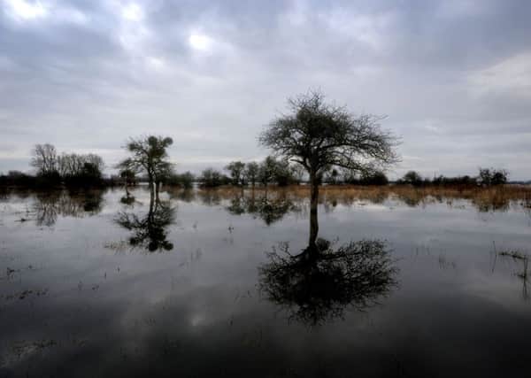 Jo Foster hopes land management measures will prevent her land from suffering as badly as it did last winter when flooding affected farmland across the region. Pic: Tim Ireland/PA Wire