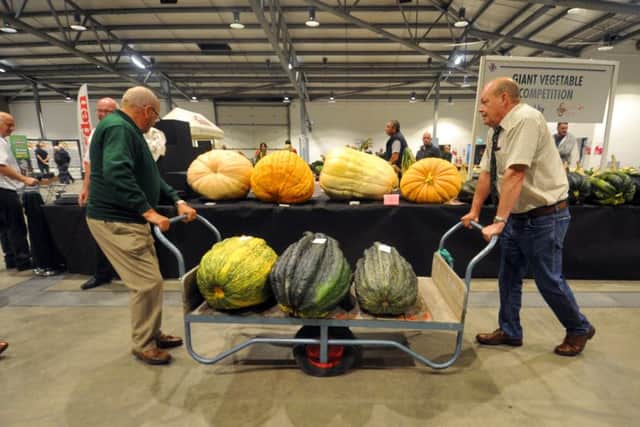 Judges with the giant vegetables at the weigh-in.