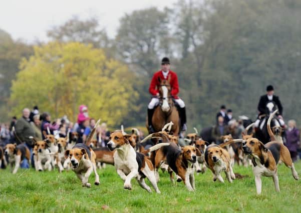 The Holderness Hunt in East Yorkshire at their first meet of the 2015 season at Rise Park near Hull.