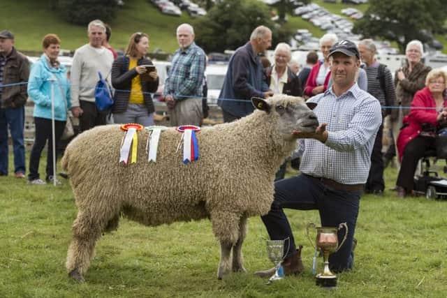 Supreme sheep champion Andrew Fisher, with his winning Wensleydale sheep.