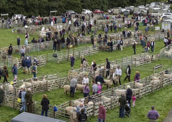 Crowds enjoying the delights of Nidderdale Show at Bewerley Park, Pateley Bridge, viewed from a cherry picker which can be hired from SHC Hire Centres.  Pictures: James Hardisty.