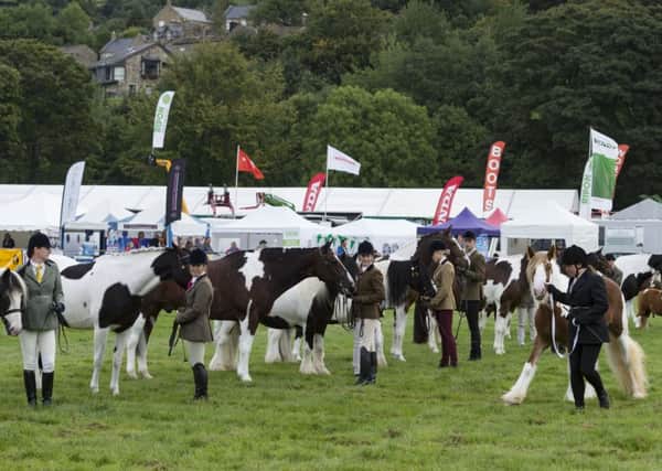 Nidderdale Show's Hunter class in the main ring.  Pictures: James Hardisty