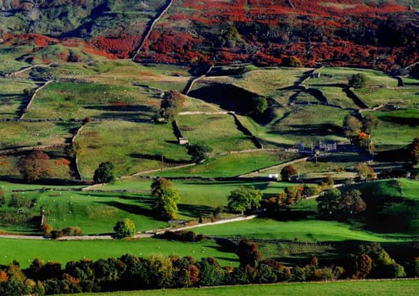 Is the Yorkshire Dales a nice place to live? The views of columnist Liz Jones continue to polarise opinion.