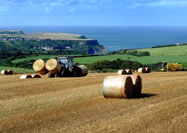Labour is looking at major reforms of farm subsidies