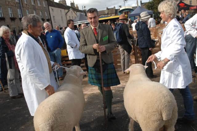 Judging at the Masham Sheep Fair.  Picture: Adrian Murray.(1609251AM10)