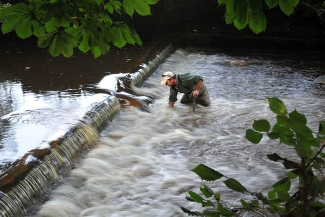 Professor Jonny Grey from Lancaster University by a knocked in the weir on the stretch of water. Picture Tony Johnson.