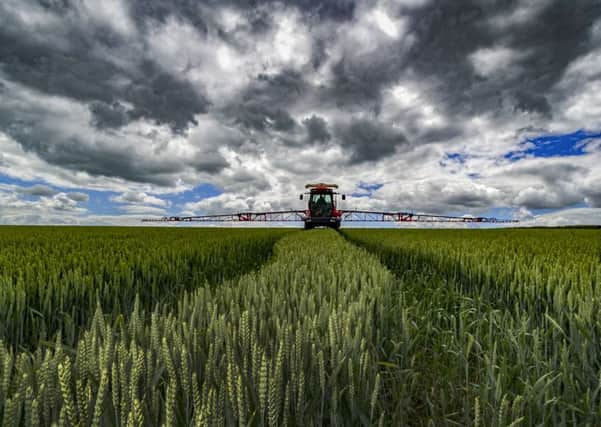 Some 91 per cent of farmers in England received their Basic Payment Scheme money in December 2016, the Rural Payments Agency has confirmed.  Pic: James Hardisty.