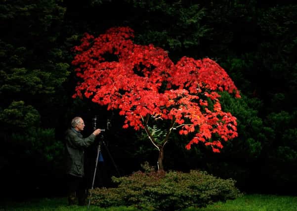 Landscape Photographer Rod Bennington from Northallerton, photographs the Autumn colours at Thop Perrow Arboretum, near Bedale..12th October 2016 ..Picture by Simon Hulme
