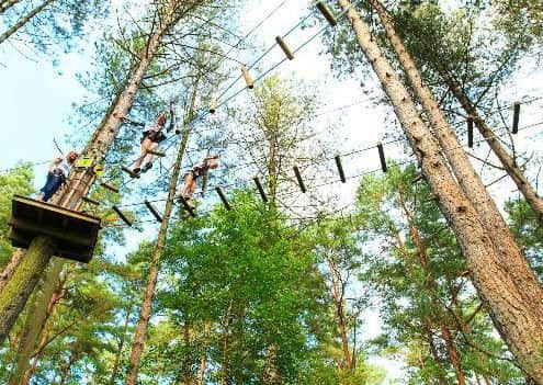 The Go Ape attraction in North Yorkshire's Dalby Forest