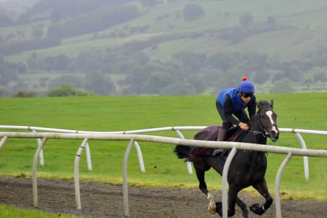 Jockey Jordan Vaughan riding 'Quiet Reflection'on the  gallops at Middleham. (Picture: Gary Longbottom)