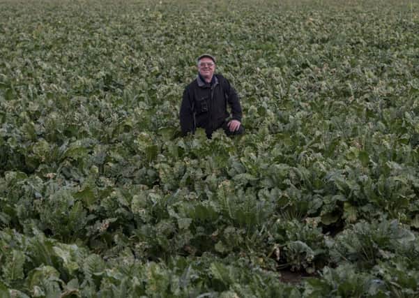 Richard Burniston, of North End Farm, Long Marston, in a field of sugar beet.  Picture: James Hardisty