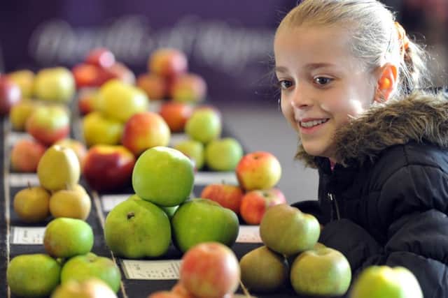 Bethany Hobson, aged 10, from Guiseley near Leeds takes a look at a display of apples in the Food Hub.