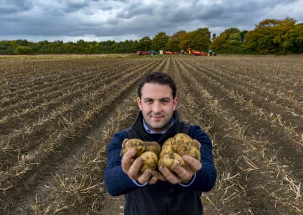 Agriculture director James Hopwood, of Ibbotson Potatoes, Colton, near Tadcaster.  Pictures: James Hardisty.