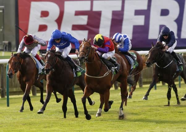 Braveheart: The Last Lion, right, wins the Juddmonte Middle Park Stakes at Newmarket last month. (Picture: PA)