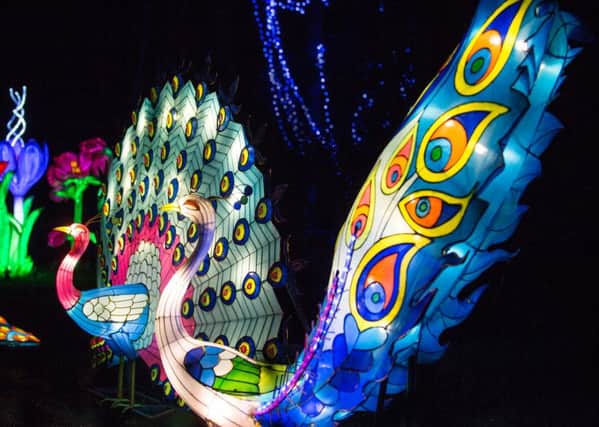 The UKs biggest Chinese lantern festival comes to Leeds for the first time this month and is set to attract tens of thousands of guests eager to get a glimpse of this incredible spectacle.