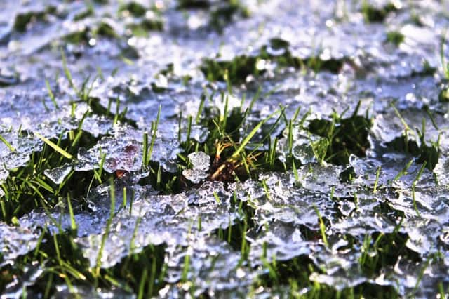 FROZEN ASSET: Keep off the grass when ice is about.