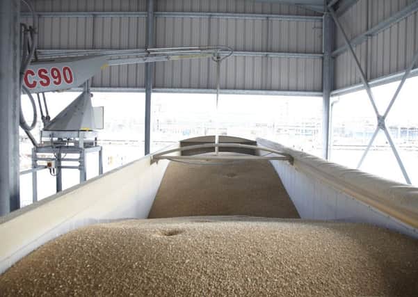 Increased demand for bioethanol will allow farmers to sell their wheat in the UK.