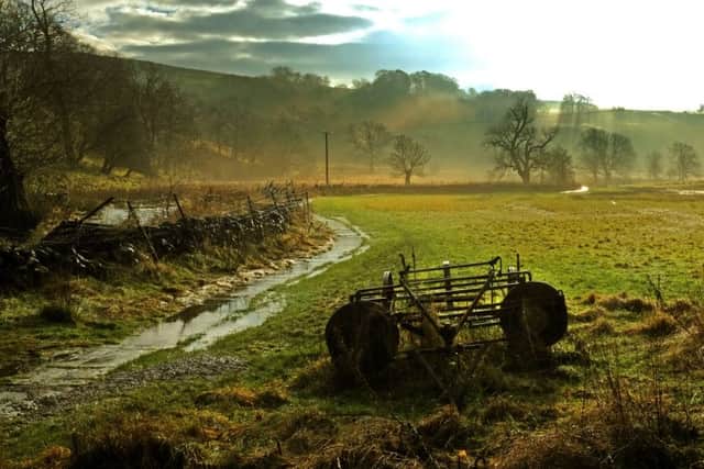 Almost one in ten paths in Yorkshire were found to be poorly kept and difficult or impossible to use, according to the findings of a Ramblers survey.  Picture: Tony Johnson.