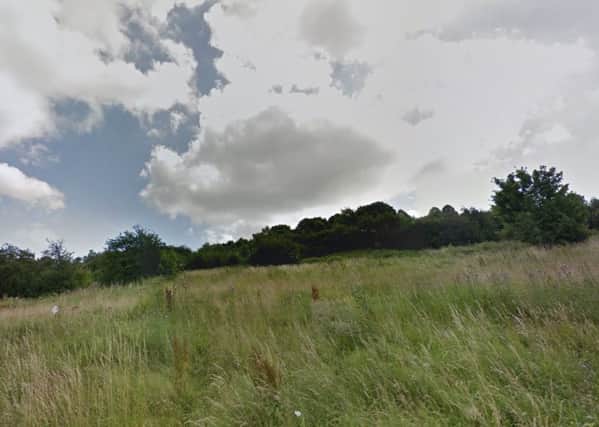 Police have appealed for information after a teenager was allegedly raped in woodland off Rother View Road in the Canklow area of Rotherham.