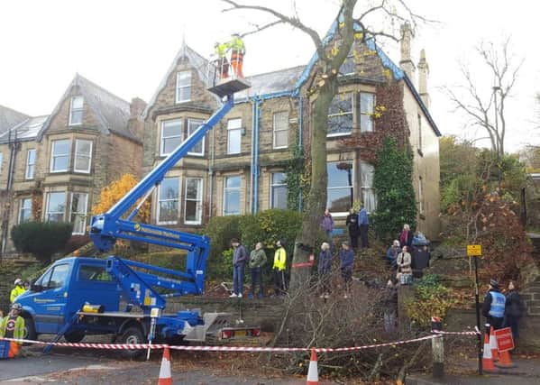 Contractors cut down the final tree in Rustlings Road, Sheffield, where three people protesting against a controversial tree felling programme have been arrested after council contractors started cutting down trees with chainsaws before dawn.