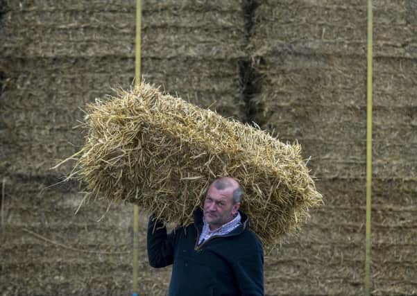 Mike Evison at Big Bale Co (North) Ltd, Great Heck. Picture: James Hardisty