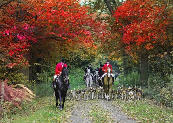 The pursuit of hounds across wild Yorkshire countryside is nature at its most breath-taking.