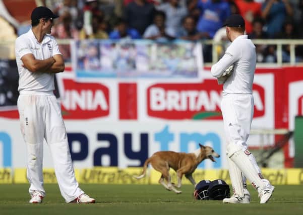 England's captain Alastair Cook, left, and team mate Jonny Bairstow watch a dog running into the field on the first day of their second cricket test match against India in Visakhapatnam, India. (AP Photo/Aijaz Rahi)