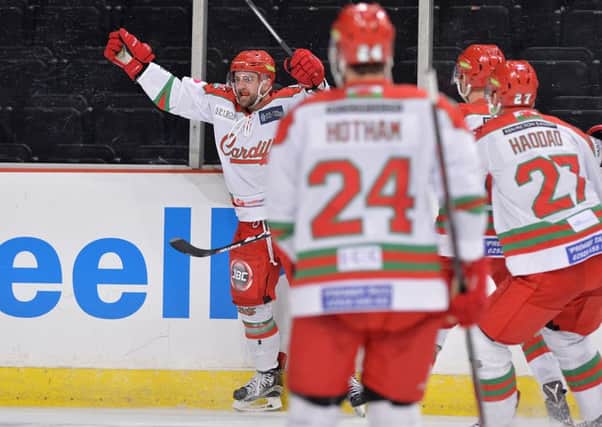 LEVEL PEGGING: Guillaume Doucet celebrate's Cardiff equaliser at Sheffield Arena on Friday night. Picture: Dean Wooley.