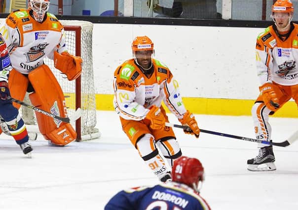 Sheffield Steelers' Yared Hagos. Picture courtesy of Elite League.