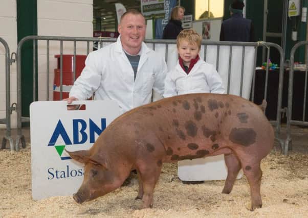 Mark Horsley with son James and their winning Pietrain.  Picture: Tim Scrivener.