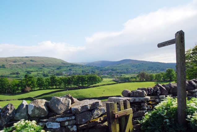 Who wouldn't be happy with this as your back garden? Picture: Tanya St. Pierre/Yorkshire Dales Millennium Trust