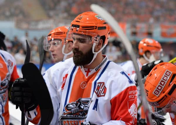 Mathieu Roy equalised for Sheffield Steelers in Cardiff, but it couldn't prevent a 3-2 defeat. Picture: Dean Woolley.
