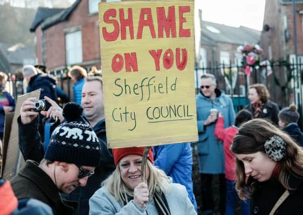 Protests in Sheffield over the felling of trees.
