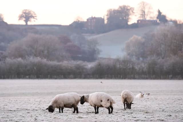Much of the UK has seen one of the coldest nights of the autumn so far this year