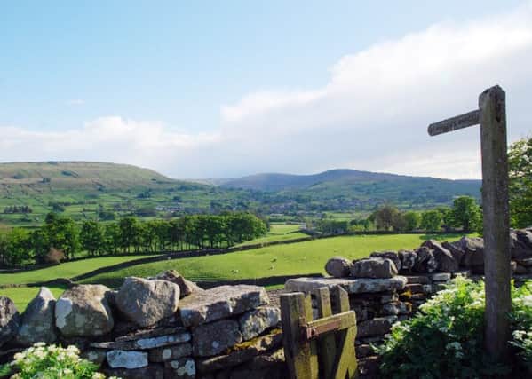 A target to increase woodland cover in the Yorkshire Dales National Park by 2,000 hectares is "on course" to be met by 2020.  Picture: Tanya St. Pierre/Yorkshire Dales Millennium Trust