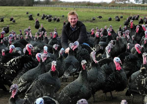 Edward Wilkinson pictured with his turkeys at his farm at Pilmoor, North Yorkshire.  Picture: Simon Hulme