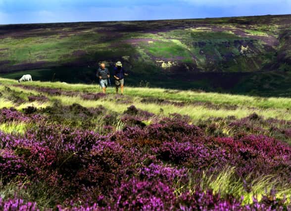 Walkers make their way past the purple heather on the North York Moors
