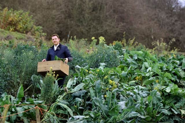 Tommy Banks  harvesting produce from the gardens  behind the  Black Swan, Olstead.
