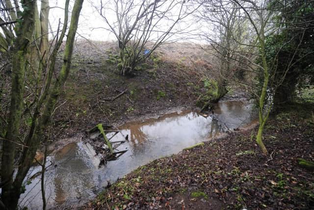 The wooded area near Edlington, where an attack on two children took place in April 2009.