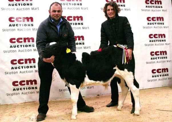Geoff and Margaret Booth show their winning British Blue X bull calf at Skipton Auction Mart.