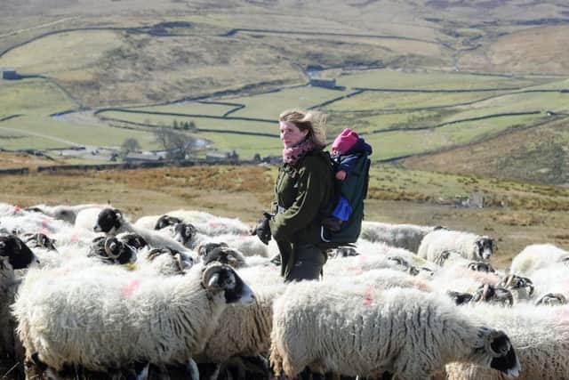 Amanda Owen, The Yorkshire Shepherdess, believes the Yorkshire Dales needs to be made a more attractive place to live in order to attract modern families - citing connectivity and decling services as reasons why people would be deterred.   Picture: Gerard Binks