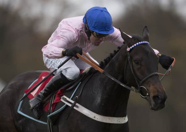 Licence to thrill: O O Seven ridden by Andrew Tinkler wins at Sandown Park last year. (Picture: PA)