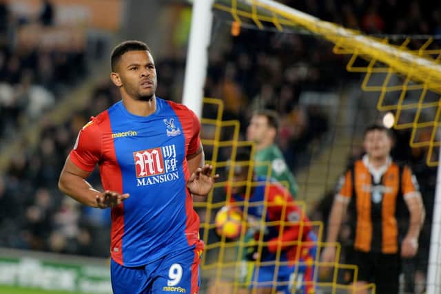 Former Tigers striker Frazier Campbell celebrates Crystal Palace's late equaliser (Photo: PA)