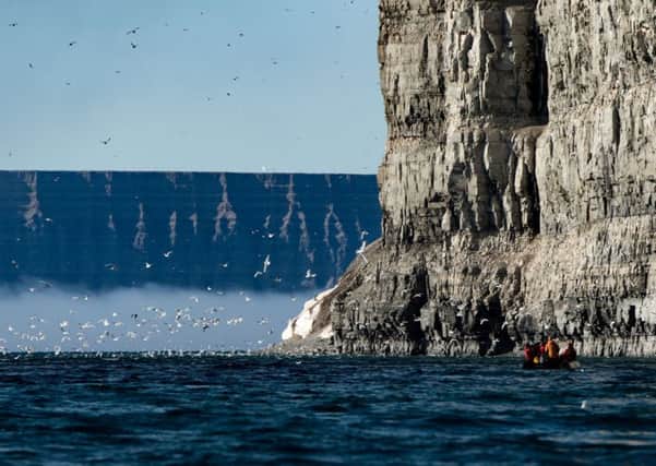 Beneath the cliffs of Prince Leopold Island, Canadian High Arctic.