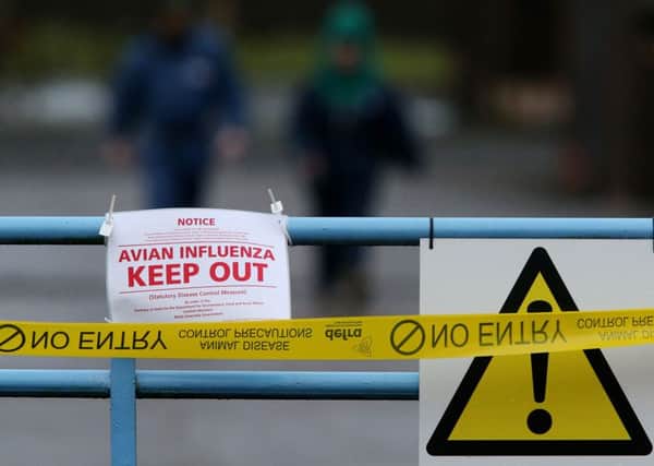 A sign warning of avian flu