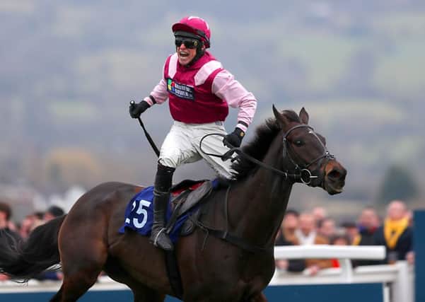 TOP DAY OUT: Harry Skelton's face says it all as the perfectly named Superb Story - trained by his brother, Dan - wins the Vincent O'Brien County Hurdle at the Cheltenham Festival in March. Picture: David Davies/PA.