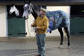 BIG TEST: Trainer Malcolm Jefferson with Cloudy Dream. Picture Bruce Rollinson