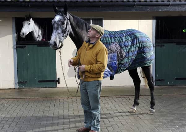BIG TEST: Trainer Malcolm Jefferson with Cloudy Dream. Picture Bruce Rollinson